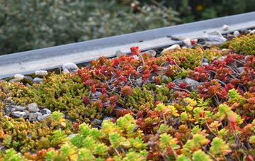 the cost of Durisdeermill green roof installation